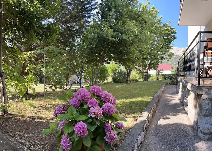 Sersic アパート *